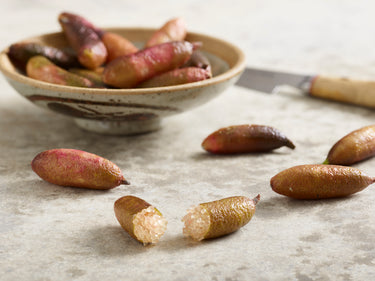 Australian Finger Lime tree